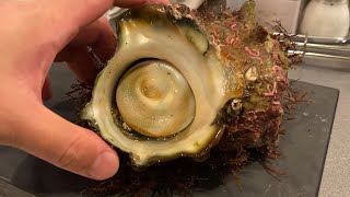 【サザエの炊き込みご飯】自分を大蛇丸と信じて止まない一般男性が優勝する動画です。