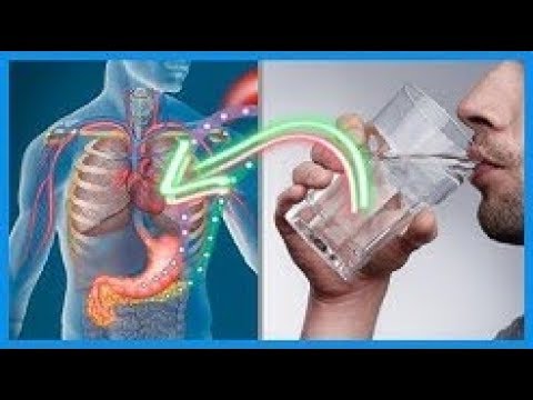 dieta para perder peso y grasa abdominal Esto es lo que Pasa Cuando Solo Consumes AGUA 💦Por unos 30 Días Consecutivos