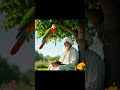 اسلام وعلیکم بابا جی #vairalvideo #cuteparrot
