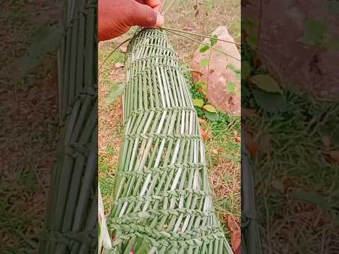ମାଛ ଧରିବା ଯନ୍ତ୍ର। fishing trap #fishingvideo #fishing #fishinglife