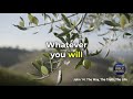 John 14 Song | The Way, The Truth, The Life — A Chapter a Day #John14 #biblemusic #christianmusic