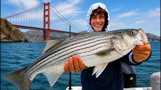HUGE Fish Feeding On Live Anchovies | Bay Area Fishing