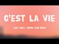 C’est La Vie - Yung Gravy, bbno$, Rich Brian {Lyrics Video} 🌳