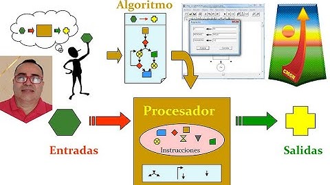 ASIGNACIÓN DE VARIABLES DFD