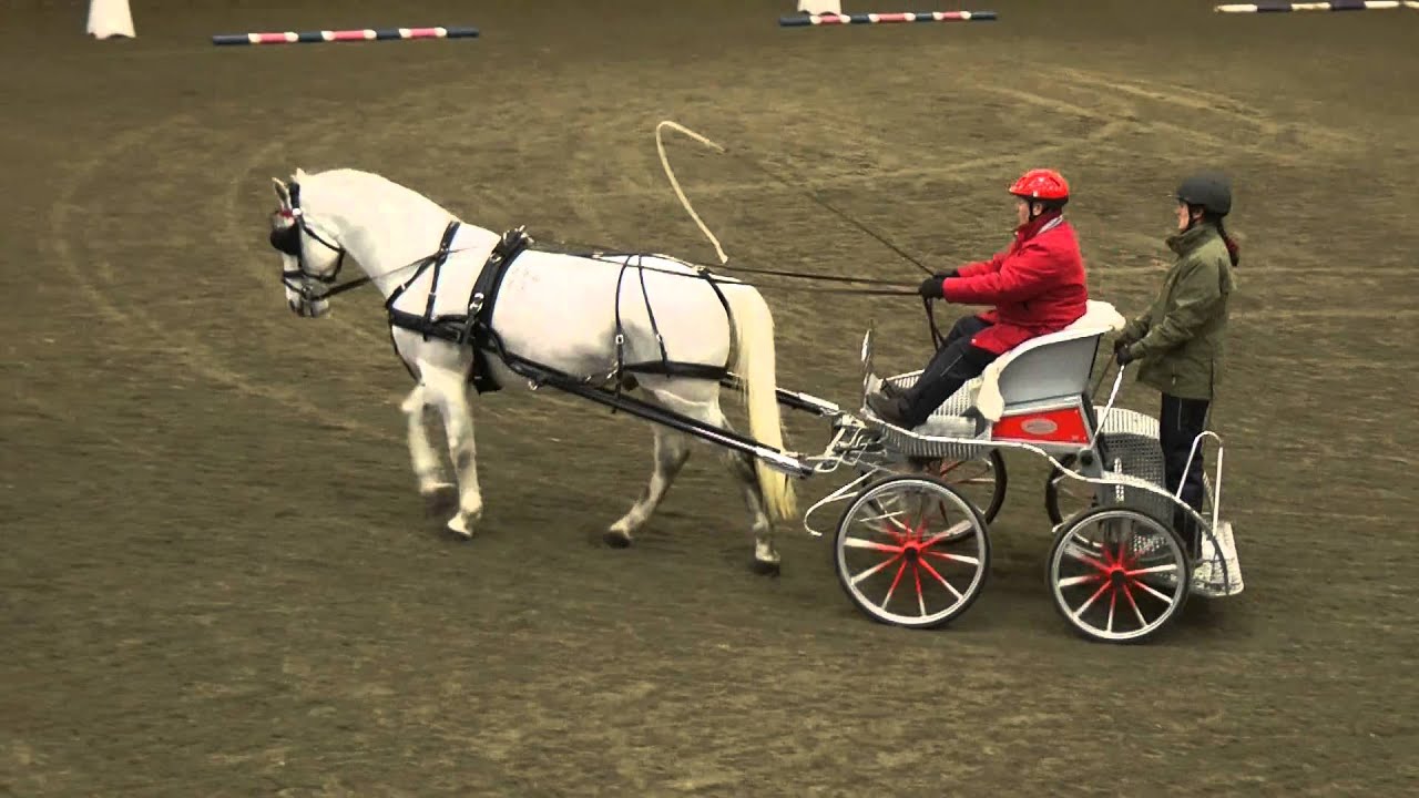 Indoor Driving Trials Precision & Paces