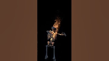 Houdini FX | Skeleton Burn Fire Sim