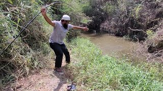 Best hook fishing in Big catfish|Fisher Man Catching in Village|Amazing fishing video in Catfishes|