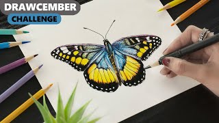 Drawing BUTTERFLY using Color Pencils - Time-lapse