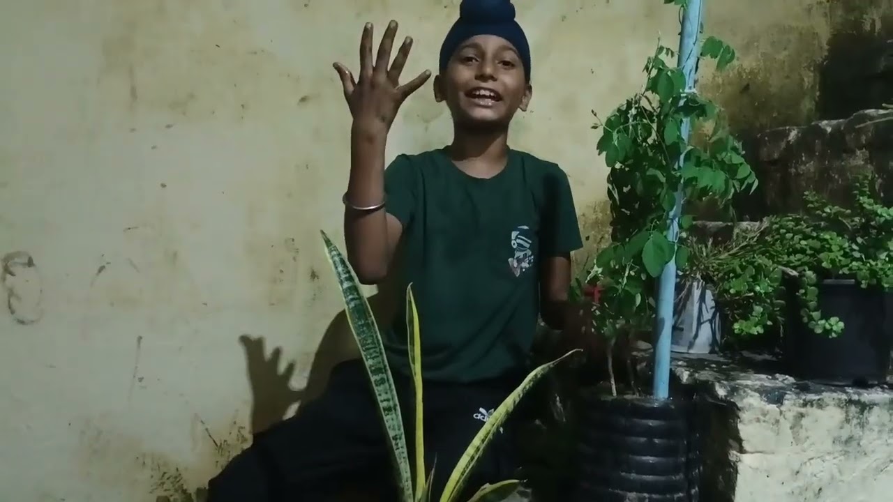 Care tips for snake plant🌱and aprajita plant 🌱