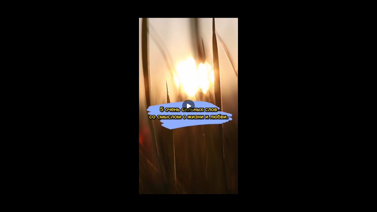 5 очень сильных фраз и слов со смыслом про любовь и жизнь. Задумайтесь🔥 #shorts #сосмыслом #2022