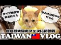 【VLOG】台湾最大級のフェスでぶちかましてきたにゃん!!!