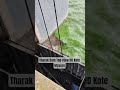 Tharak Dam Top View HD Kote Mysore|#southkarnataka #travel #wildlife #kabini#coorg