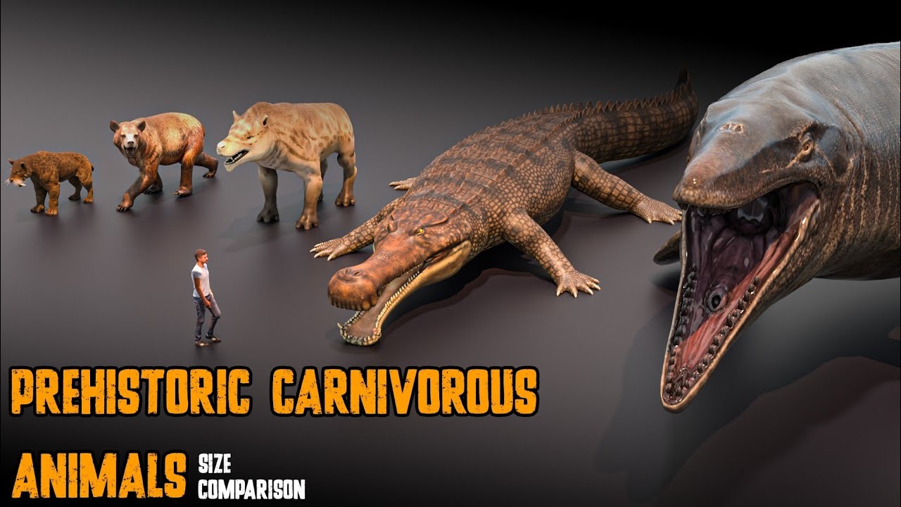 Prehistoric Carnivorous Animals Size Comparison