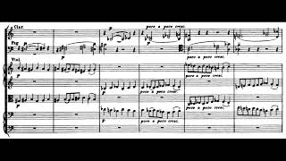 Sibelius - Symphony No. 2 in D Major Mvt. I // Score + Audio