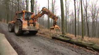 Markierte Bäume - Sachgeschichten - Die Sendung mit der Maus - WDR Fernsehen