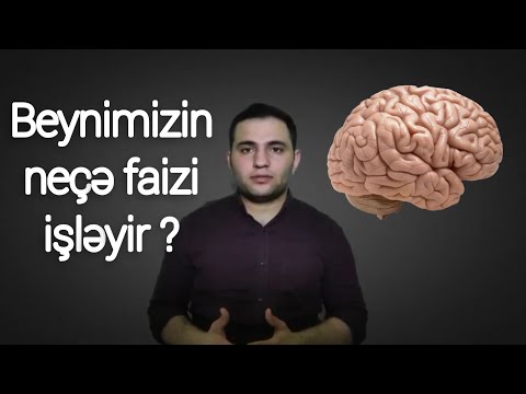 Beynimizin neçə faizi işləyir ?  Qadın yoxsa kişi hansının beyni daha üstün ? Eynşteynin beyin fərqi