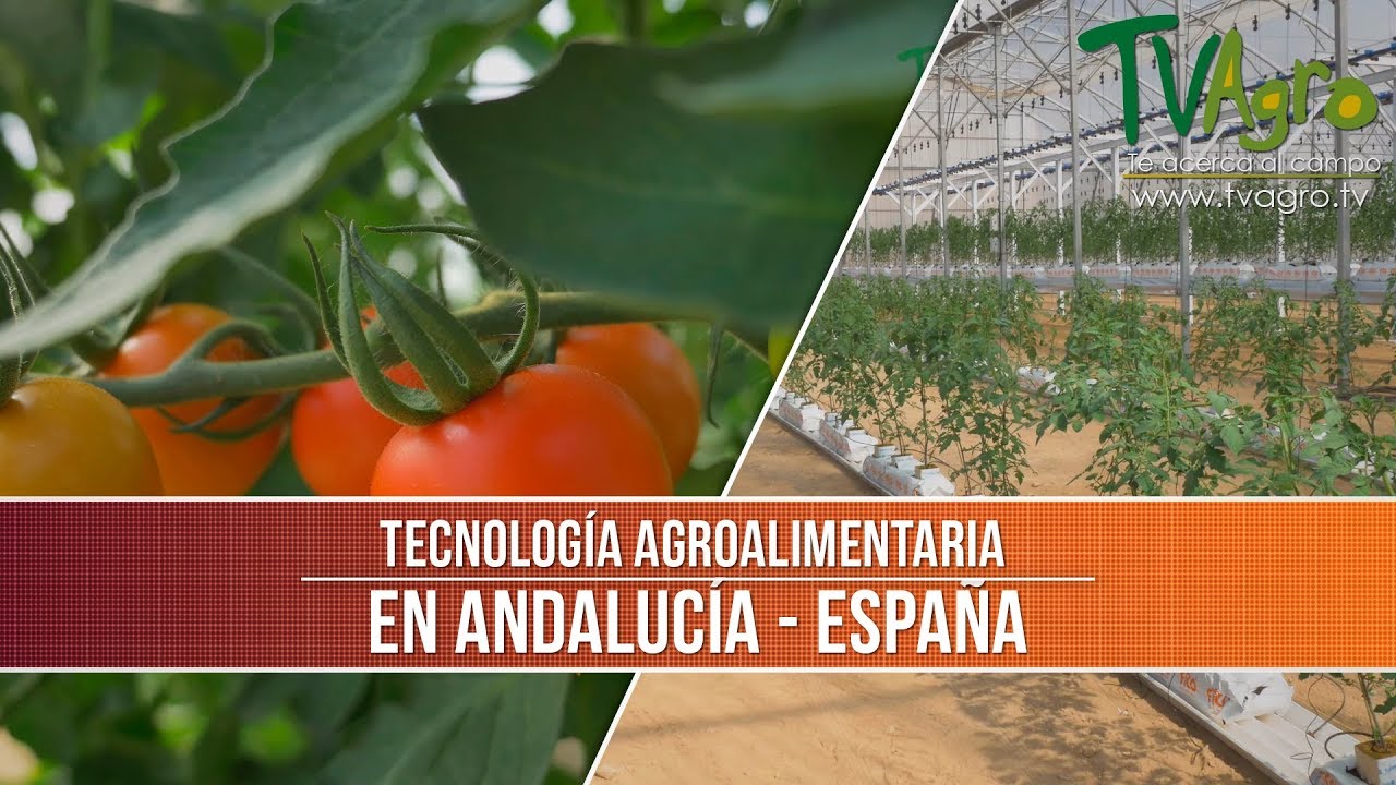 Como Funciona la Tecnologia en los Invernaderos - TvAgro por Juan Gonzalo Angel