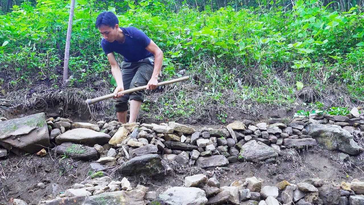 Survival Skills In The Rainforest, Bushcraft Survival, Primitive skills - Farm Building #6