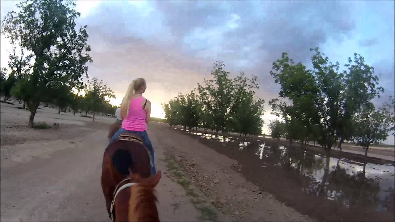 Horseback riding El Paso Texas YouTube