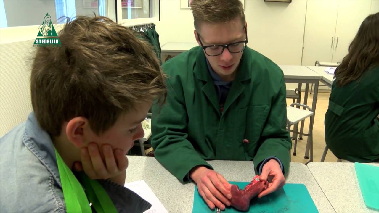 Stedelijk Gymnasium Breda Open Dag 2014