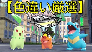 【色違い厳選】ポケモンSV　LEGENDS Z-A　御三家　色違いポケモン厳選
