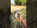 Mini jBL Speaker Testing _ Boom Music 😳