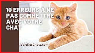 LES 10 ERREURS À NE PAS COMMETTRE AVEC VOTRE CHAT