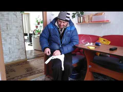 Вопрос: Как обучить почтового голубя?