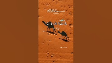 ولو ترى إذ وقفوا على النار فقالوا ياليتنا نرد ولا نكذب بآيات ربنا ونكون من المؤمنين (٢٧)