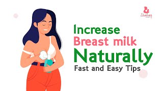 How to increase breast milk naturally, fast and easy lactation cookies recipe