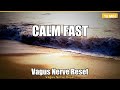 Vagus Nerve Reset | Calm Anxiety & Regulate Your Nervous System | 15 Minutes