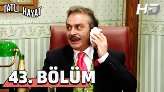 Tatlı Hayat 43. Bölüm Hd