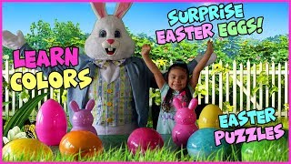 Fun Learning Colors Video For Kids | Surprise Easter Eggs Toys Puzzles Bird House
