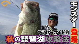 琵琶湖 Youtube 琵琶湖 Youtube