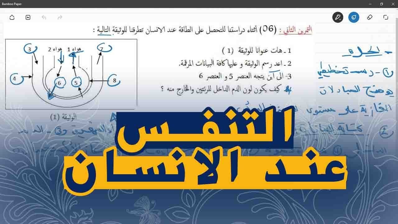 علوم طبيعية السنة اولى متوسط تمرين على التنفس عند الانسان الاسناخ الرئوية
