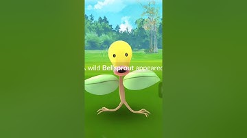 Pokemon Go Curve ball generator iPhone IOS PokemonGo Hack Assistive Touch gesture generator