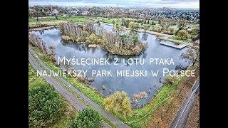 Myslecinek - the biggest city park in Poland by drone 4K