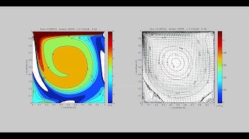 Lid Driven Cavity flow, Vorticity and Streamlines