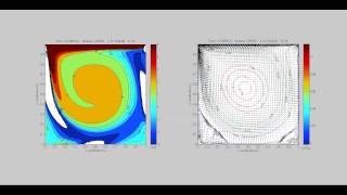 Lid Driven Cavity flow, Vorticity and Streamlines