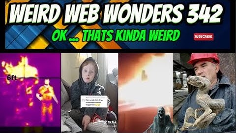 weird web wonders 342