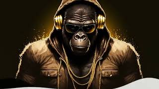 Gangster Trap Mix 2023   Best Hip Hop   Trap Music 2023   Music That Make You Feel Badass 2712202307