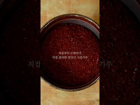 [🔴𝗟𝗜𝗩𝗘ㅣ10/12 (목) <strong>롯데호텔</strong> 배추김치] #김치 #kfood