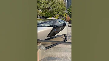 Go To Work In A Flying Car 