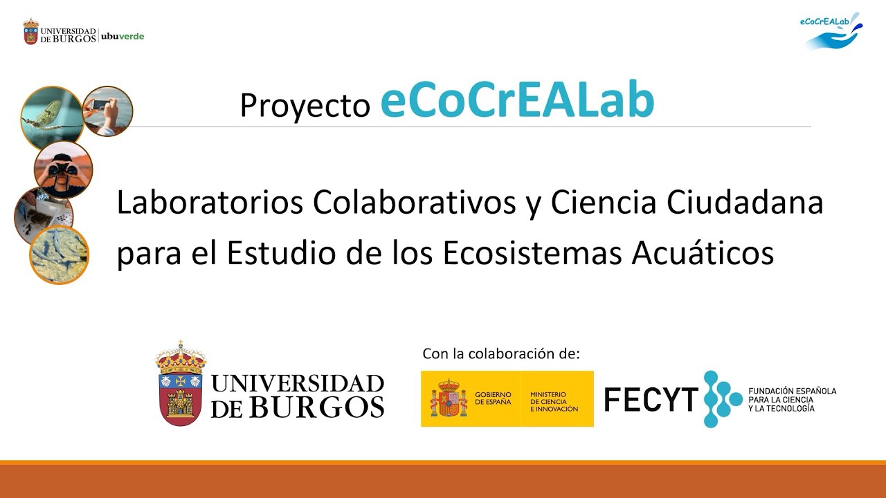 Módulo III: Evalúa el estado ecológico de los ríos - Tema 3.2