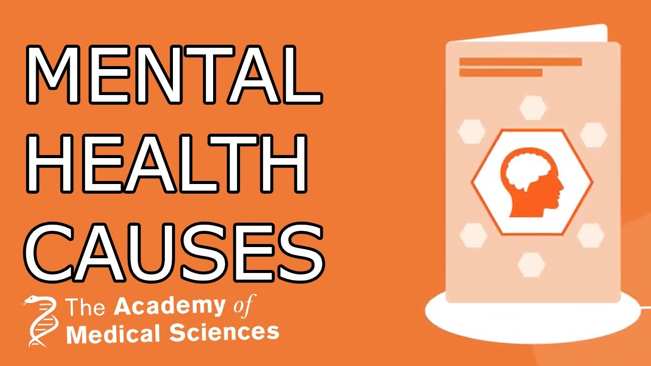 Addressing the social determinants of global mental health in the SDG era