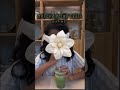 #matcha