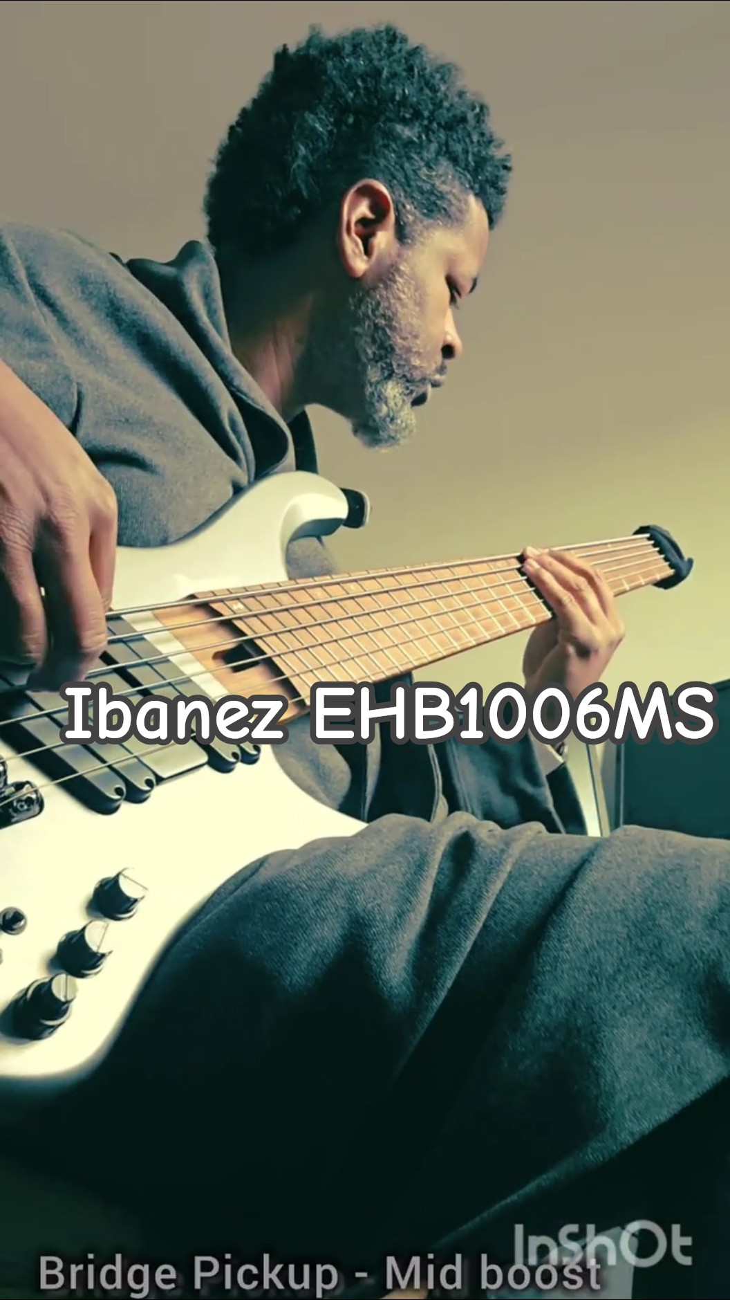 BassRobeChronicles | Ibanez EHB1006MS | Morning Vibes - YouTube