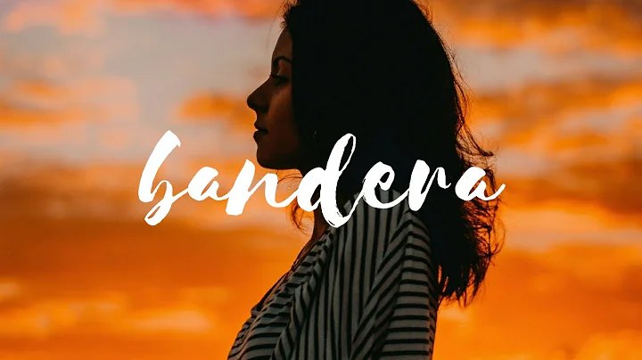 Ryan Z - Bandera
