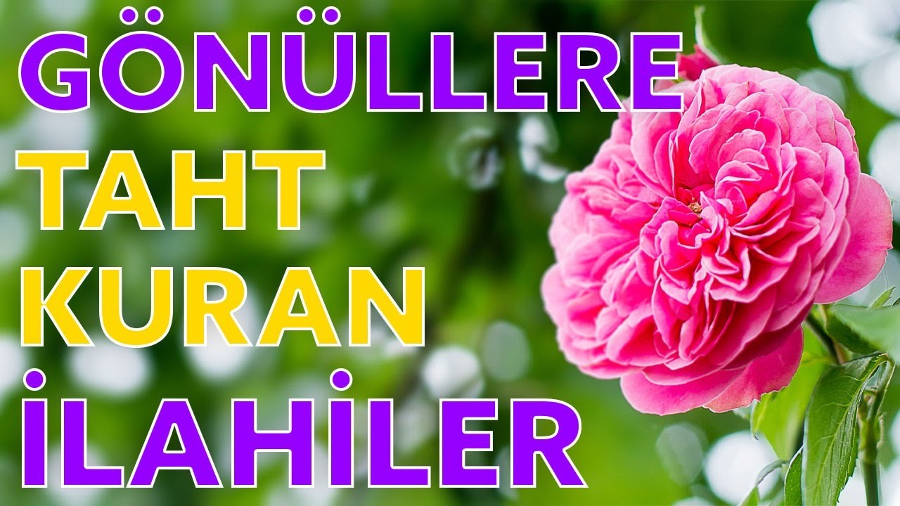 TEK TESELLİMİZ SENSİN ALLAHIM / EN GÜZEL GÖNÜLLERE TAHT KURAN İLAHİLER