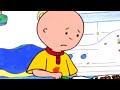 Caillou and the Ketchup Stain | Caillou Cartoon